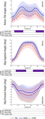 Muscle and Hip Contact Forces in Asymptomatic Men With Cam Morphology During Deep Squat